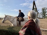 Horses at Gaucho Ranch 18 by Wendy Howard