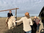 Horses at Gaucho Ranch 20