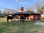Horses at Gaucho Ranch 24 by Wendy Howard