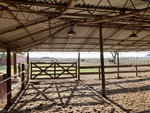 Horses at Gaucho Ranch 28