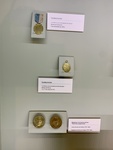 Medals of Decoration for Battles of Suipacha (1810, Top) and Buceo (1814, Middle); Commemorative Medallions of Women Patriots (Bottom). Enrique Udaondo Museum, Luján, Buenos Aires