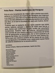 Plaque: Poha Ñana - Medicinal Plants of Paraguay. Enrique Udaondo Museum, Luján, Buenos Aires