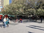 Tango Dancing in Park with Large Patio Near Restaurants. Recoleta Area. 2 by Wendy Howard
