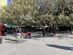 Tango Dancing in Park with Large Patio Near Restaurants. Recoleta Area. 3 by Wendy Howard