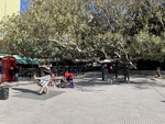 Tango Dancing in Park with Large Patio Near Restaurants. Recoleta Area. 5 by Wendy Howard