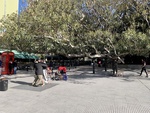 Tango Dancing in Park with Large Patio Near Restaurants. Recoleta Area. 6 by Wendy Howard