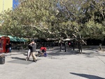 Tango Dancing in Park with Large Patio Near Restaurants. Recoleta Area. 8 by Wendy Howard