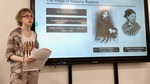 Student Presentation on Natasha Rostova by Wendy S. Howard EdD.