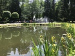 Pond in Lower Park
