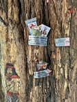 Visitors leave offerings at the tree shrine of Gauchito Gil in Parque Los Andes, Argentina, expressing gratitude and making requests by Wendy Howard