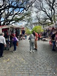 Visitors explore street market stalls in Parque Los Andes, Buenos Aires, enjoying local crafts and food on a sunny day by Wendy Howard