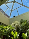 Views from the interior of Universidad Catolica Argentina in Puerto Madero with plants and clear sky above by Wendy Howard