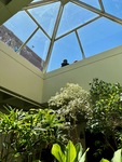 Bright interior of Universidad Catolica Argentina with glass roof and plants visible from below in Puerto Madero by Wendy Howard