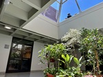 Exploration of a university interior with plants and natural light in Universidad Catolica Argentina, Buenos Aires by Wendy Howard