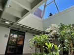 Indoor atrium with plants and skylight at Universidad Catolica Argentina, Puerto Madero, Buenos Aires, during a sunny day by Wendy Howard