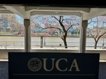 View of Puerto Madero with trees and UCA sign in the foreground at Universidad Catolica Argentina during a sunny day by Wendy Howard