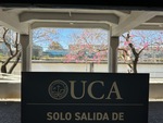 View of the Puerto Madero campus of Universidad Catolica Argentina with blooming trees and river in the background by Wendy Howard