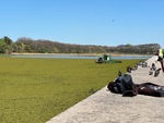 Lunch time at Laguna de los Coipos in Puerto Madero with birds and people enjoying the sunny day by the lake by Wendy Howard