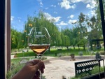 Enjoying a glass of wine at Lamadrid Estate Wines in Mendoza Argentina with scenic views of nature and clear skies by Wendy Howard
