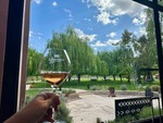 Enjoying wine at Lamadrid Estate Wines with views of the garden and trees in Mendoza, Argentina, on a sunny afternoon in spring by Wendy Howard