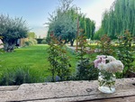 View of flowers and green landscape from Lamadrid Estate Wines in Mendoza Argentina showcasing local nature and scenery by Wendy Howard