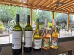 Wine tasting experience at Lamadrid Estate Wines in Mendoza Argentina with various bottles on display by Wendy Howard