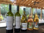 Wine selection at Lamadrid Estate Wines in Mendoza, Argentina, showcases local varieties and labels in a natural setting by Wendy Howard