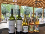 Collection of wines displayed at Lamadrid Estate Wines in Mendoza Argentina on a sunny afternoon with outdoor seating visible by Wendy Howard