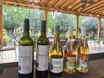 Variety of wines at Lamadrid Estate Wines in Mendoza Argentina during an afternoon gathering with friends and family by Wendy Howard