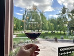 Enjoying a glass of wine while overlooking the garden at Lamadrid Estate Wines in Mendoza Argentina on a clear day by Wendy Howard
