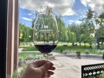 Holding a glass of red wine at Lamadrid Estate Wines in Mendoza, Argentina on a sunny day with green trees in the background by Wendy Howard