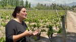 Woman discusses grape cultivation at Bodega Familia Cassone winery in Mendoza while mountains sit in the background by Wendy Howard