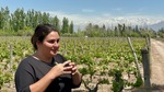 Woman speaks about wine production at Bodega Familia Cassone winery in Mendoza Argentina with mountains in the background by Wendy Howard