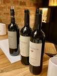 Wine tasting at Bodega Familia Cassone in Mendoza, Argentina showcasing three different red wine bottles on a wooden table by Wendy Howard