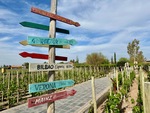 Exploring the signpost at Casa Vigil El Enemigo vineyard in Mendoza Argentina with global city destinations by Wendy Howard