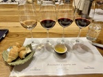 Wine tasting experience at Bodega Familia Cassone winery in Mendoza, Argentina with bread and olive oil on the table by Wendy Howard