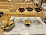 Wine tasting experience with bread and olive oil at Bodega Familia Cassone in Mendoza, Argentina by Wendy Howard