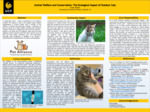 Animal Welfare and Conservation: The Ecological Impact of Outdoor Cats by Angela F. Dauber