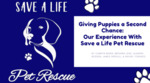 Giving Puppies a Second Chance: Our Experience With Save a Life Pet Rescue