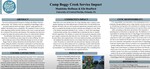 Camp Boggy Creek Service Impact by Madeleine E. Hoffman and Elle M. Bouffard