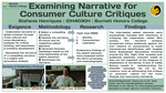 Examining Narrative for Consumer Culture Critiques by Stefanie Henriques