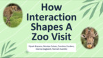 How Interaction Shapes a Zoo Visit by Myrah Bracero, Gianna Gagliardi, Carolina Cordero, Hannah Kuerbitz, and Nicolas Cohen