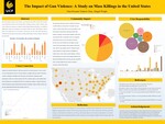 The Impact of Gun Violence: A Study on Mass Killings in the United States