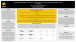 Personality, Demographics, and Drug Use: Exploring the Links Between Traits, Background, and Consumption