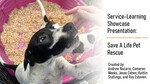 One Puppy at a Time--Save a Life Pet Rescue