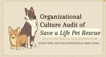 Organizational Culture Audit of Save a Life Pet Rescue by Ally L. Farace, Jordynn Velez, Emily Ramirez, and Ayden Jordan