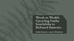 Weeds to Wealth: Upcycling Emilia Sonchifolia to Biobased Batteries