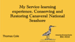 My service-learning experience, conserving and restoring Canaveral National Seashore