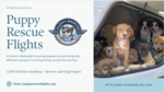 Paws on Board: Transporting Dogs from Shelters to New Homes