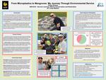 From Microplastics to Mangroves: My Journey Through Environmental Service